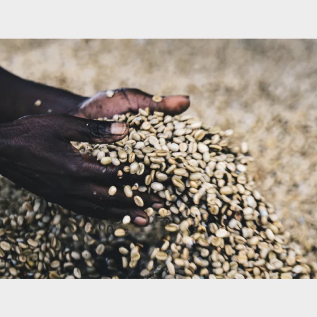 Bourbon-variety.png#asset:36539