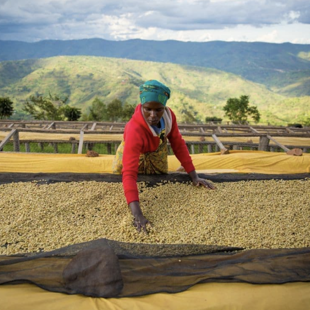 Dukundekawa-Mbilima.003.png#asset:36561