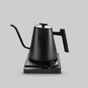 Felicita Square Temperature Control Electric Kettle