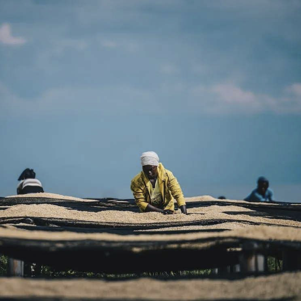 Gakenke-district.png#asset:36538