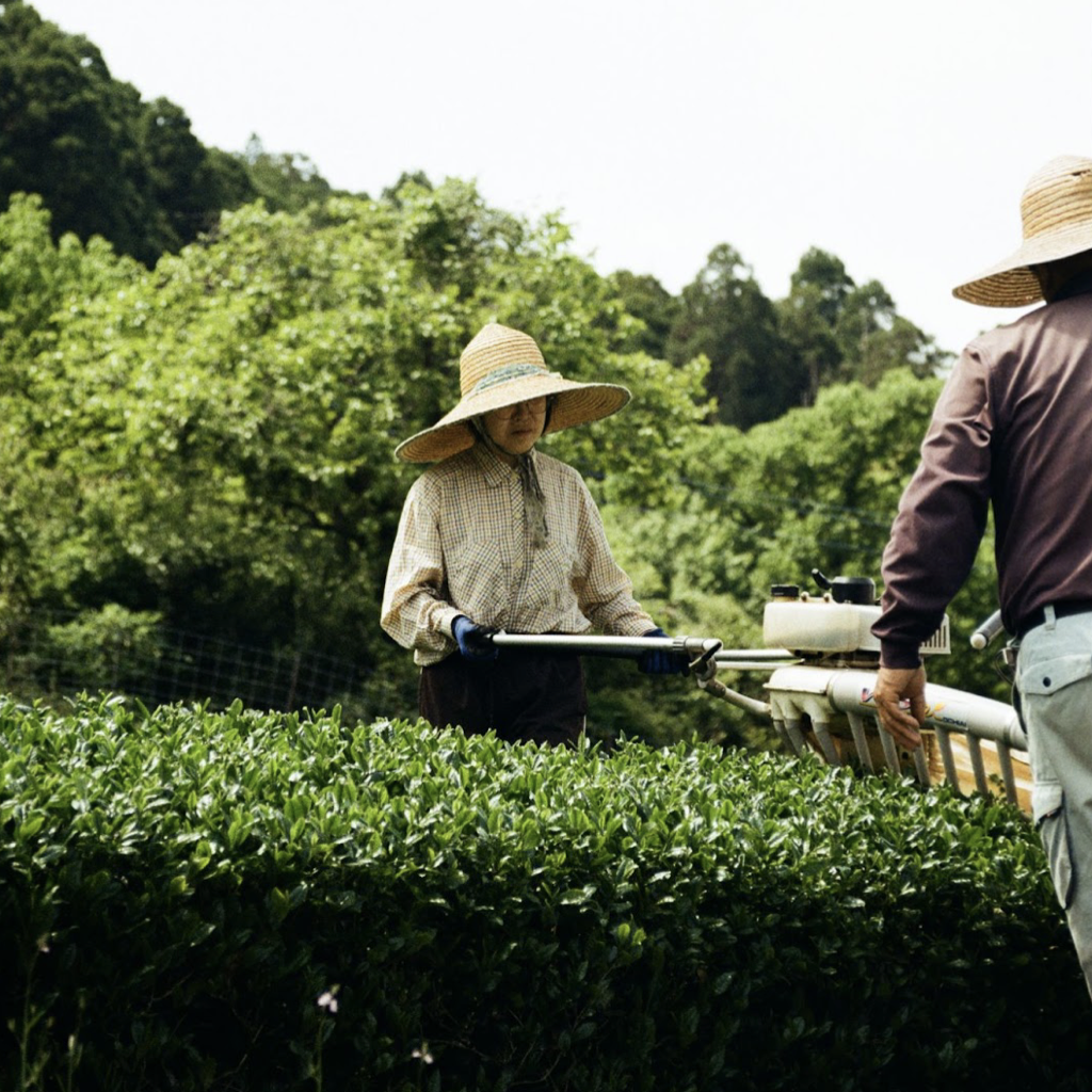 OMMA-Images.004.png#asset:36442